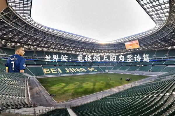 世界波：竞技场上的力学诗篇